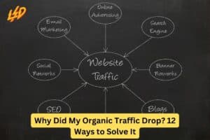 Why Did My Organic Traffic Drop? 12 Ways to Solve It